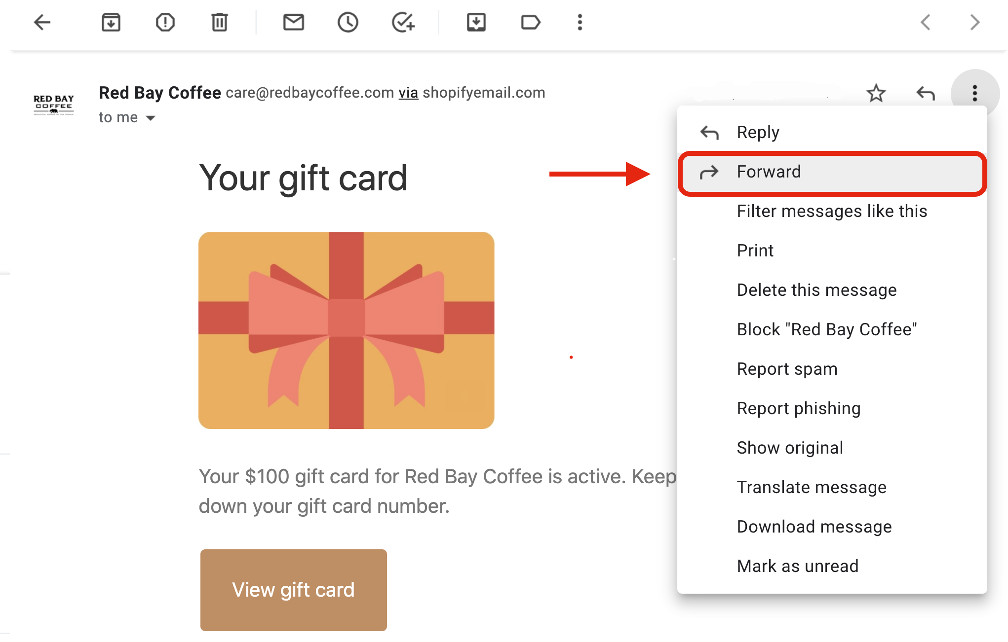 Gift Card Confirmation Email #2.png